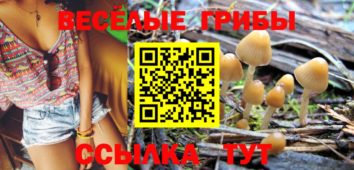 Дивногорск  цена наркотик  Вход с VPN  Галлюциногенные грибы MAGIC MUSHROOMS 